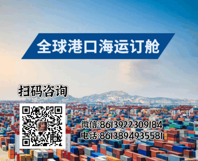 全球港口订舱服务