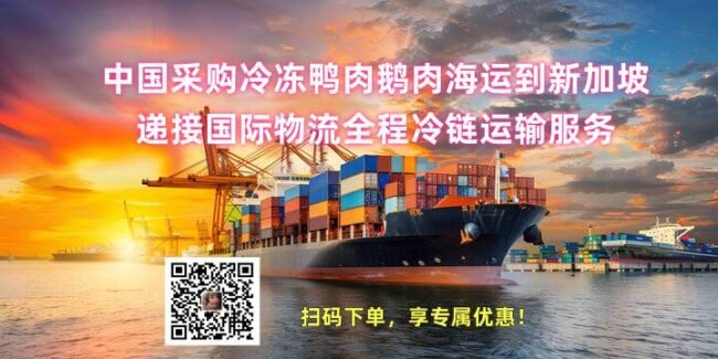 中国采购冷冻鸭肉鹅肉海运到新加坡