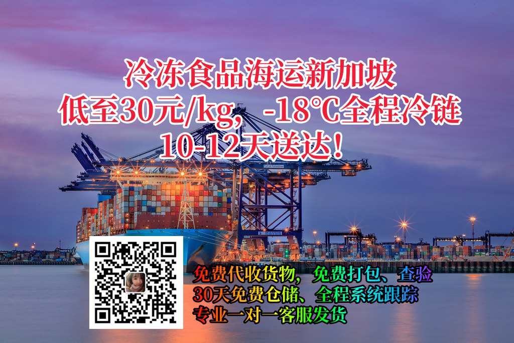 冷冻食品海运新加坡门到门服务