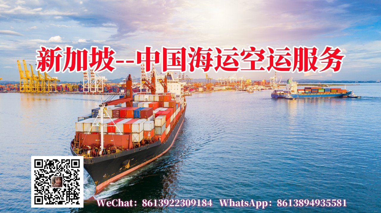 新加坡至中国海运空运服务